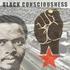A definição da Consciência Negra