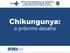 Chikungunya: o próximo desafio