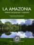 ARBORICULTURA I. Elementos sobre a anatomia e fisiologia da formação de raízes adventícias. Por: Augusto Peixe