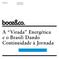 Paolo Pigorini. A Virada Energética e o Brasil: Dando Continuidade à Jornada