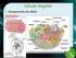 AULA 6 Respiração Mitocondrial nos vegetais