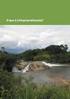 ANÁLISE FLUVIAL E IMPACTOS AMBIENTAIS NO BAIXO CURSO DO RIO CABUÇU-PIRAQUÊ - BAÍA DE SEPETIBA RJ