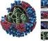 Atividade extra de Química sobre o vírus influenza A (H 1 N 1 ) e a ação do álcool-gel