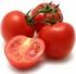 Tratamento de sementes de tomate com medicamentos homeopáticos
