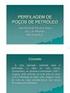 PERFILAGEM DE POÇOS DE PETRÓLEO. José Eduardo Ferreira Jesus Eng. de Petróleo Petrobras S.A.