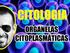 AULA 4 : CITOPLASMA E ORGANELAS