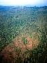 Intensificação Tecnológica para Reduzir Desmatamentos: O Caso da Banana no Sudeste Paraense 1