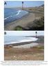 Extracção de areia na praia de Calhetona (Ilha de Santiago, Cabo Verde): causas, processos e consequências *