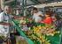 A FEIRA DO PRODUTOR DA AGRICULTURA FAMILIAR FEIRA CORUJÃO NO MUNICÍPIO DE RIO CLARO - SP