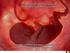 Desenvolvimento Embrionário e o Início da Vida