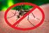 Boletim Epidemiológico. Dengue Chikungunya Zika