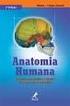 Fonte: Anatomia Humana 5 edição: Johannes W. Rohen