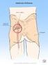 Anatomia Clínica Nervos e Músculos