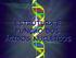 ESTRUTURA DOS ÁCIDOS NUCLEICOS E REPLICAÇÃO DO DNA. Aula teórica 4. Maria Carolina Quecine Departamento de Genética