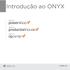 Introdução ao ONYX. onyxgfx.com