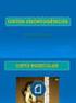 DOS TECIDOS BUCAIS. Periodontopatias. Pulpopatias. Periapicopatias TIPOS: -INCIPIENTE -CRÔNICA -HIPERPLÁSICA. Causada pelo biofilme bacteriano