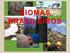 Biomas / Ecossistemas brasileiros