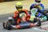 ROTAX MAX CHALLENGE BRASIL 2015 REGULAMENTO TÉCNICO CATEGORIAS, ROTAX MICRO-MAX, MINI-MAX, JÚNIOR-MAX, MAX, MAX-MASTERS, DD2, DD2-MASTERS