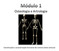 Osteologia e Artrologia. Constituição e caracterização funcional do sistema ósteo-articular