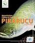 Projeto Estruturante de Pirarucu da Amazônia. Martin Halverson