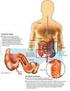 Tratamento Nutricional nas Doenças Inflamatórias Intestinais