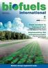 Chemical Composition and In Situ Degradation of Biodiesel By-Product Chain