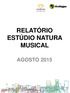 RELATÓRIO ESTÚDIO NATURA MUSICAL