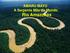 AMARU MAYU A Serpente Mãe do Mundo Rio Amazonas