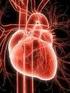 Circulação coronariana, hipertensão e isquemia