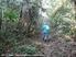 Durante uma viagem de coleta de plantas na Amazônia