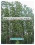 Efeito da Desrama sobre a Espessura e a Densidade da Madeira dos Anéis de Crescimento de Pinus taeda L.