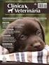 Revista de Ciência Veterinária e Saúde Pública. Meningoencefalite Necrosante (MEN) (Necrotizing meningoencephalitis (MEN))