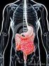 Patologia do Sistema Digestório