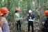 Inventário Florestal Nacional Programa de Pesquisa