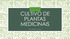 CULTIVO DE PLANTAS MEDICINAIS. Prof. Drielly R Viudes