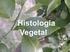 HISTOLOGIA VEGETAL. Tecidos Meristemáticos (embrionários)