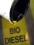 Mistura de biodiesel de sebo bovino em motor diesel durante 600 horas