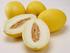 Produtividade e qualidade dos frutos de melão cantaloupe híbido hy mark submetido a diferentes soluções de ethrel