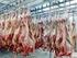 Brasil quer exportar gado vivo para os países árabes