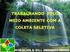 Volume 1 Gerenciamento Ambiental Programas do Meio Físico Programas do Meio Biótico