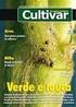 7. Manejo de pragas. compreende as principais causadoras de danos na citricultura do Rio Grande do Sul. Mosca-das-frutas sul-americana