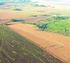 Produtividade Agrícola e Preço da Terra no Brasil Uma Análise Estadual
