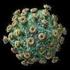 Processos de interação vírus célula. e replicação viral