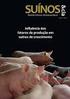 Ractopamina em dietas para suínos machos imunocastrados, castrados e fêmeas