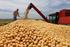O peso da soja na economia do estado do Paraná