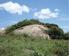 FLORA DE INSELBERGS DA REGIÃO DE MILAGRES, BAHIA, BRASIL: I. CARACTERIZAÇÃO DA VEGETAÇÃO E LISTA DE ESPÉCIES DE DOIS INSELBERGS