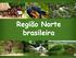 Informações e dados da região Norte do Brasil. - Densidade demográfica (estimativa 2014): 4,5 hab./km²