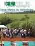 Revista Agrogeoambiental - v.7, n.1 - Março 2015