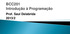 BCC201 Introdução à Programação. Prof. Saul Delabrida 2013/2