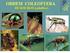 Entomologia Agrícola Características da Classe Insecta em Artrhopoda. Eng. Agr. Luiz Paulo